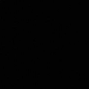 Meet your Posher, Kala